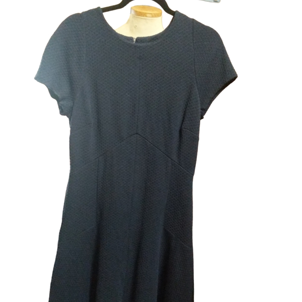 Banana Republic Woman's Navy Dress SZ 12
